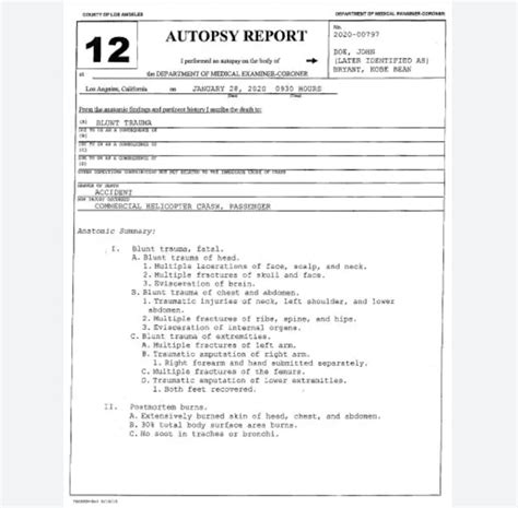 Gigi Autopsy Report: PDF, In